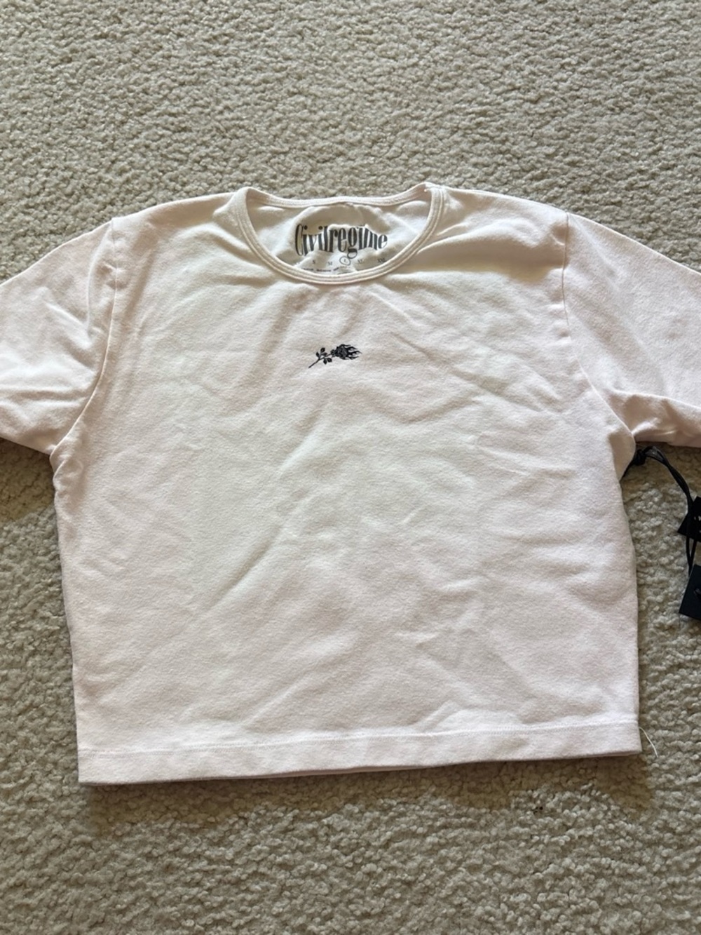 Civil Regime Vintage Wash Cropped Tee